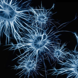 Seenovate - Accueil - Machine Learning