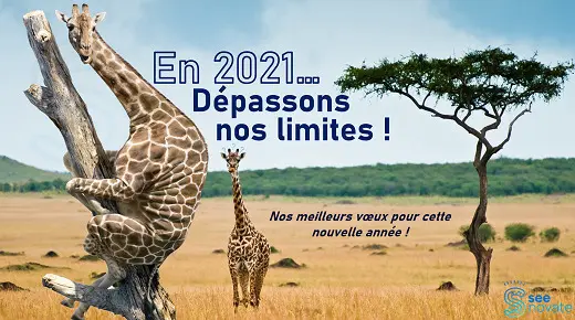 L’équipe Seenovate vous souhaite une belle année 2021 !