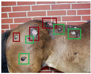 exemple d'utilisation du deep Learning