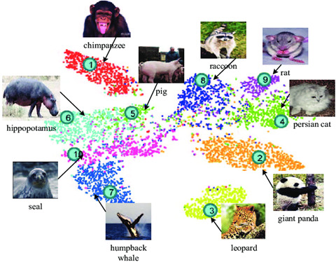 Jeu de données Deep Learning